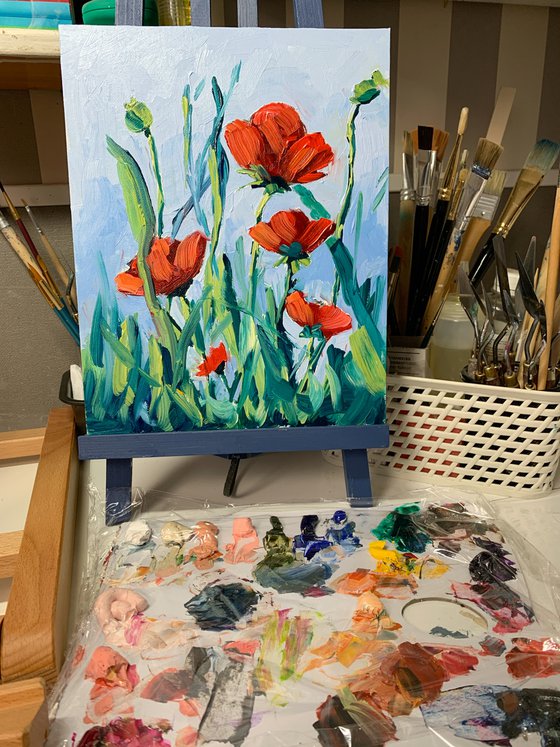 Poppies field.