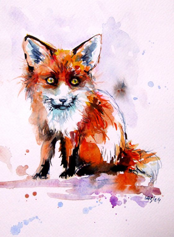 Animal collection