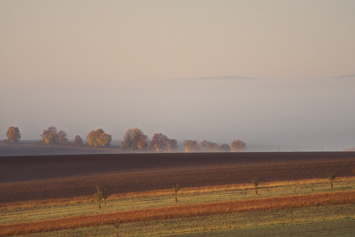 Shades of brown by Pavel Oskin