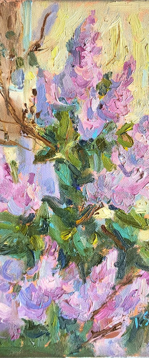 Lilac by Tanya Sun