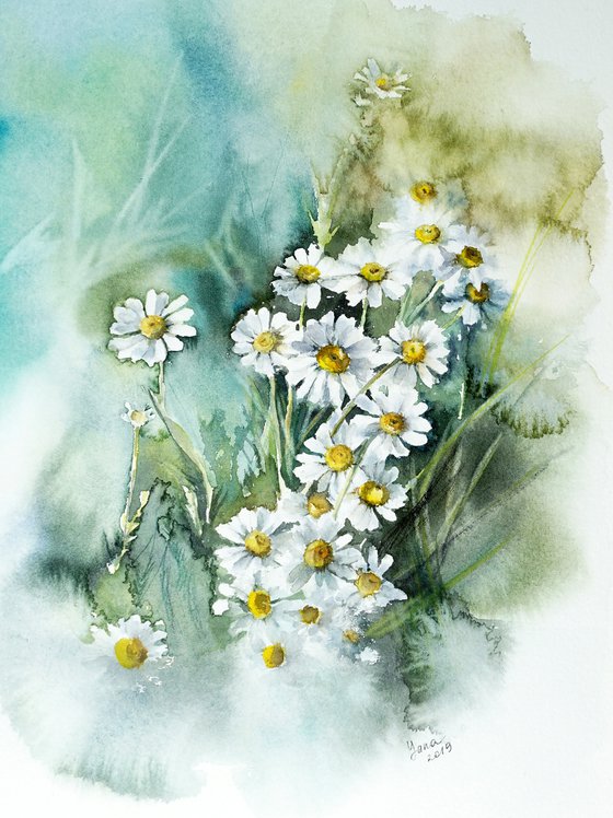 Chamomiles Watercolor Flowers - Impressionistic Art