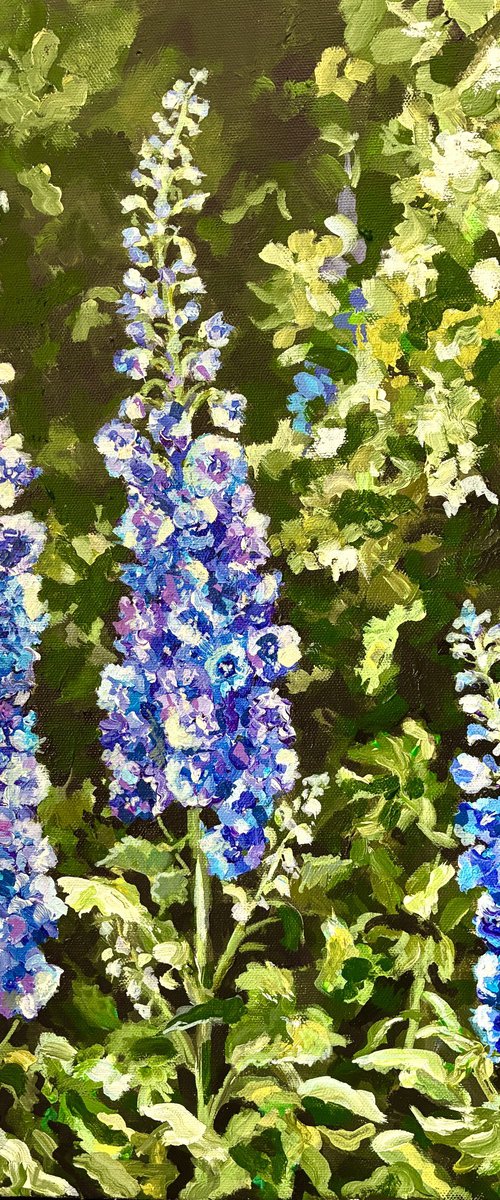Delphiniums by Colette Baumback