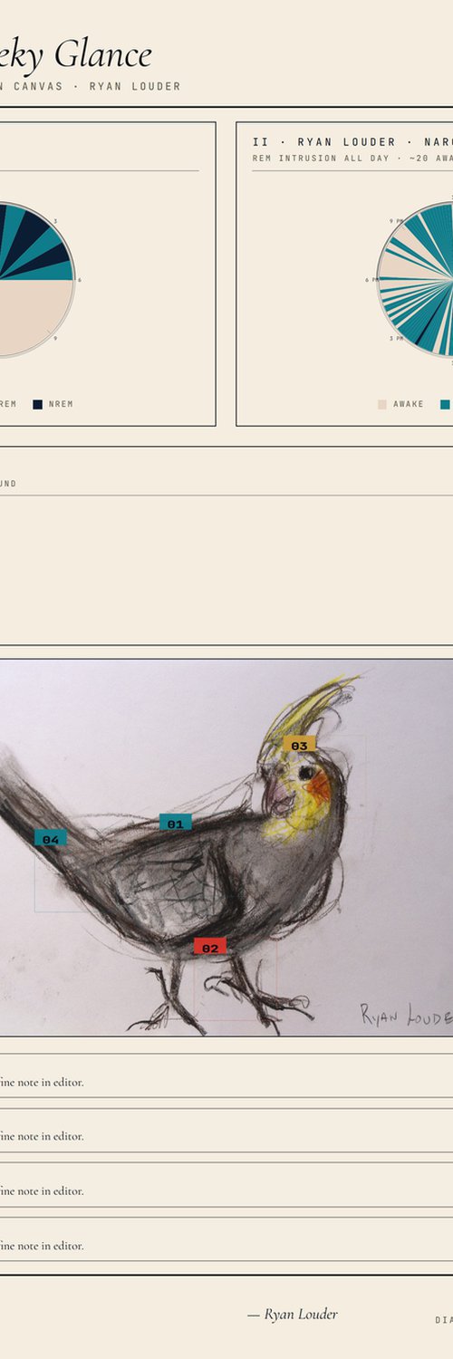 Cockatiel - Cheeky Glance by Ryan  Louder