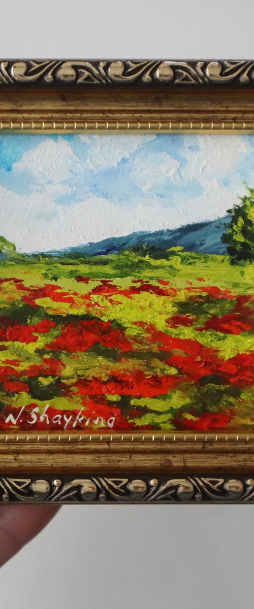 Red Poppy Field by Natalia Shaykina