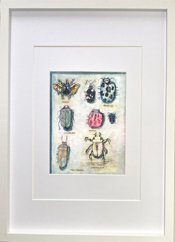 Bug Collection #10 - Framed mixed media abstract Beetle Painting