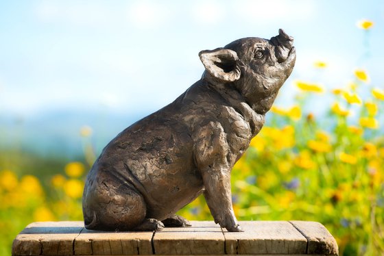 Sitting Piglet BR