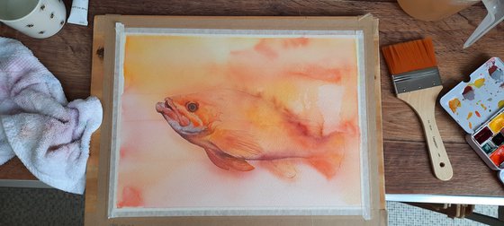 Orange Watercolour Fish - large original rockfish painting
