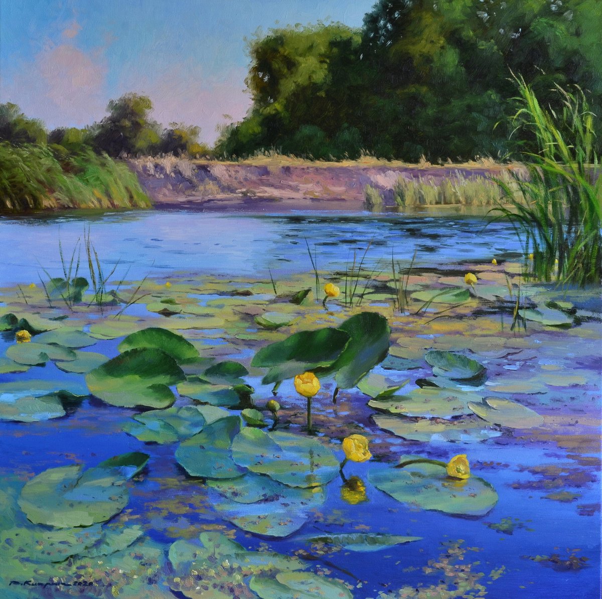 Impressionistic Landscape Oil Painting By Ruslan Kiprych, 24 X 24", Water Lilies On A Sunny Day, Original Artwork