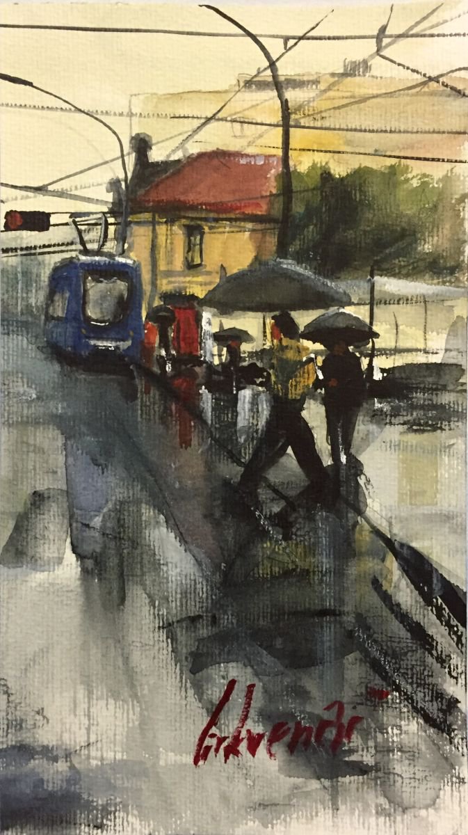 Rainy street by Tihomir Cirkvencic