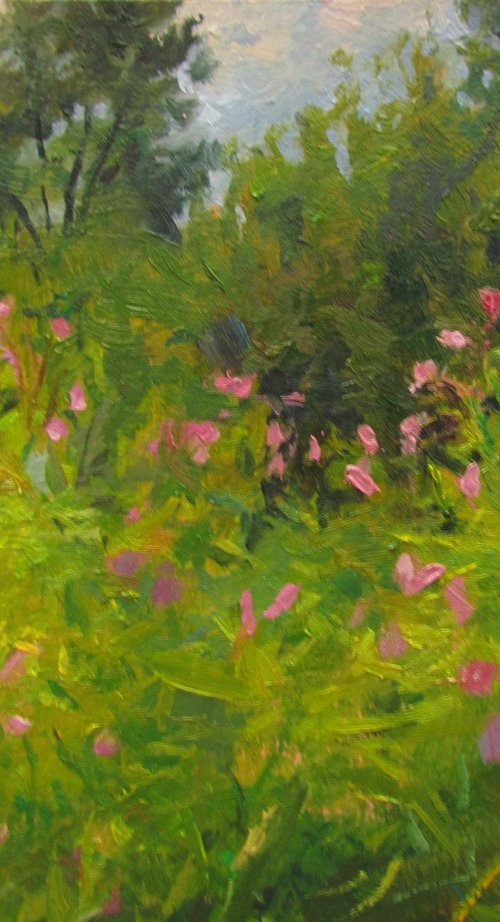 Summer by Viktoriia Pidvarchan