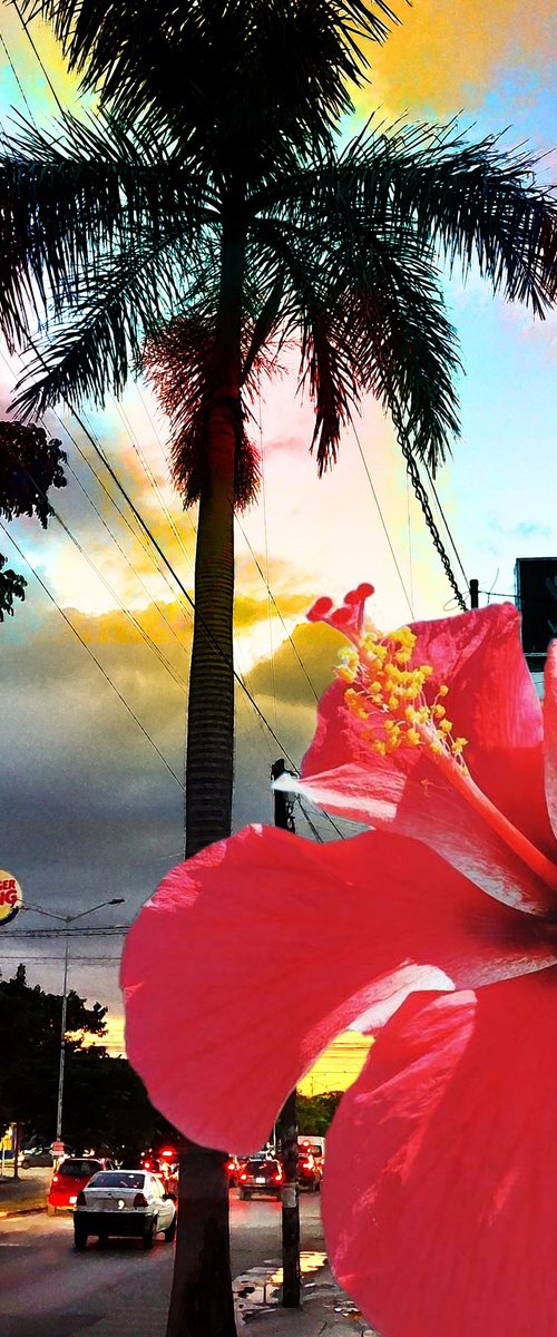 Sunset in Merida by Alex Solodov