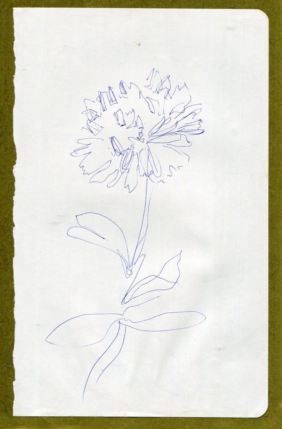 Biro singular flower sketch