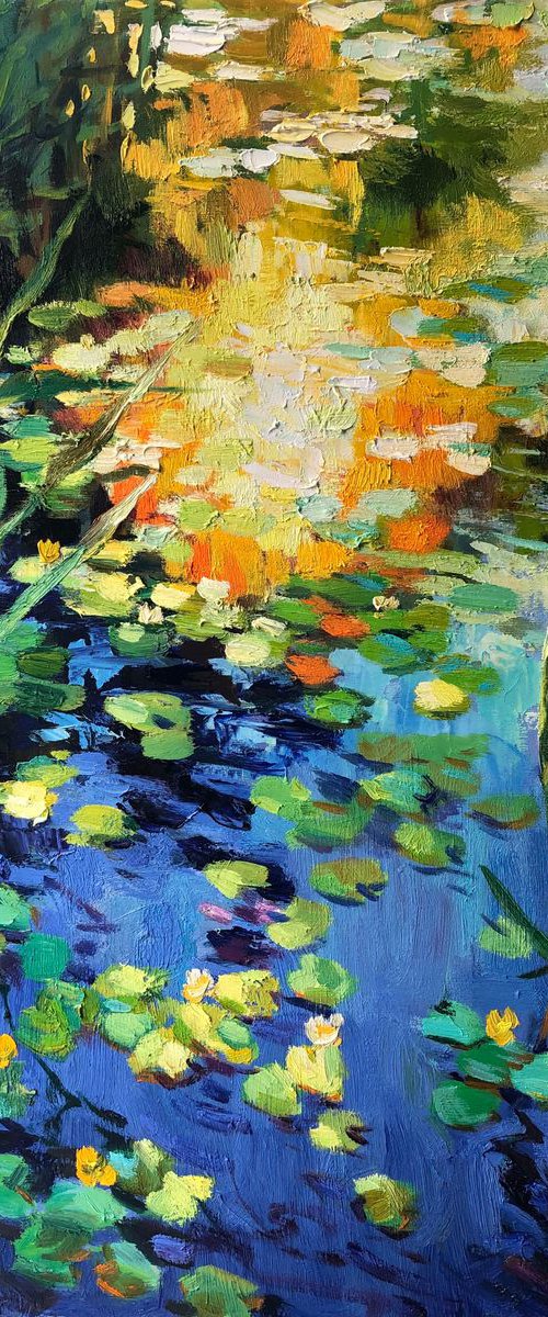 Water lilies pond. Sunset light by Nataliia Nosyk