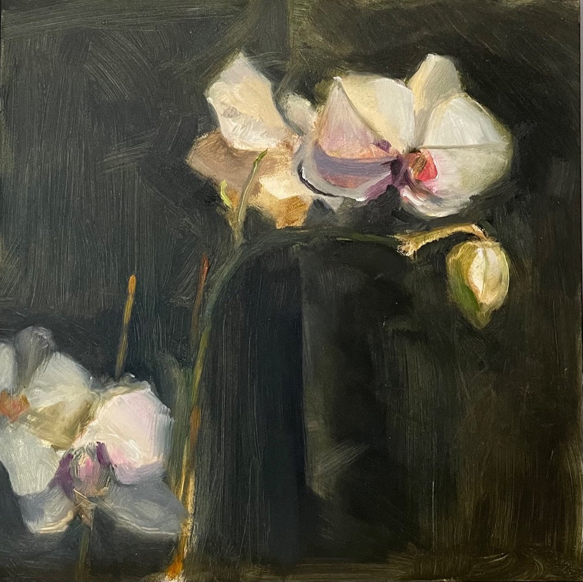 Orchid Study by Katherine Jennings
