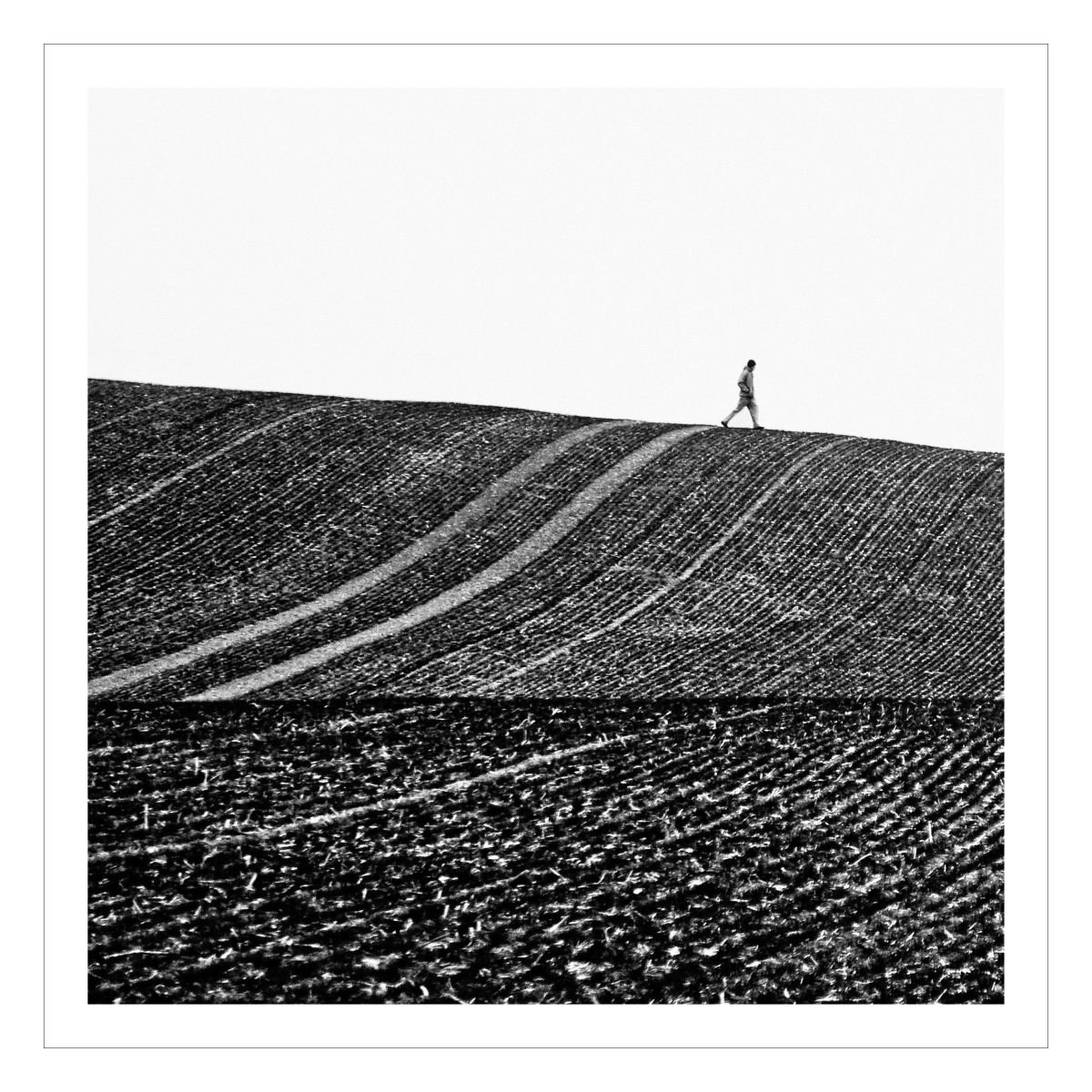 Expressive Abstract Photograph By Beata Podwysocka, 16 X 16, Walking Downhill, Original Artwork