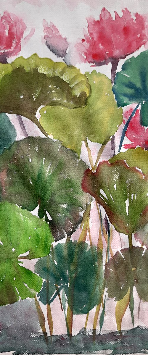 Water Lily pond 4 by Asha Shenoy