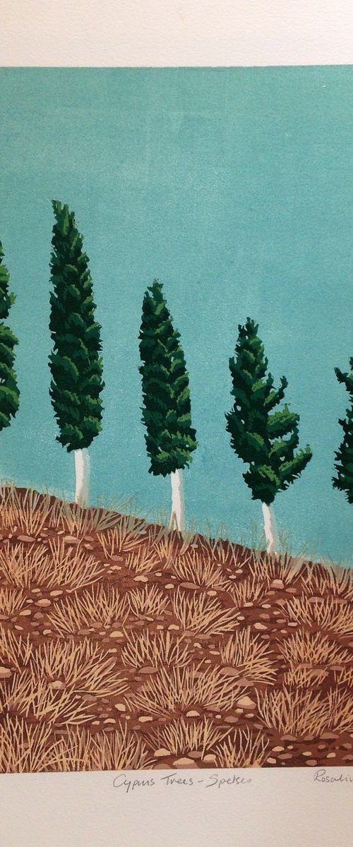 Cyprus trees by Rosalind Forster