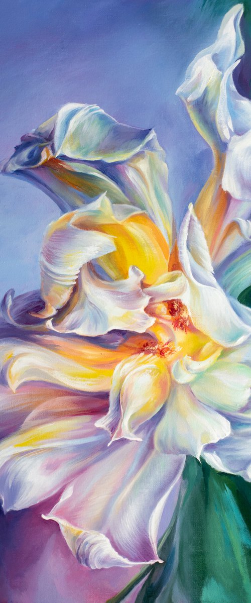 Radiance - oil on canvas, expressive flower painting by Elena Smurova