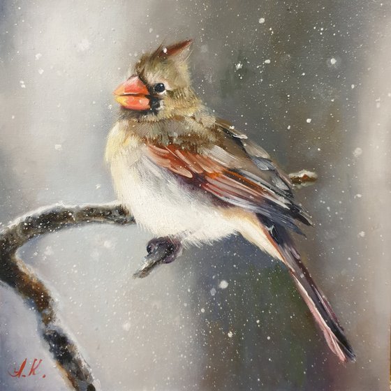 "Snow is falling.  " Cardinal of virgin   birds 2021