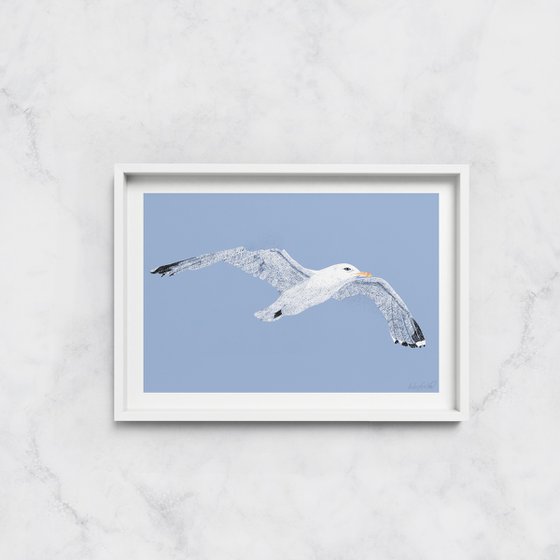 Seagull - Limited Edition Print