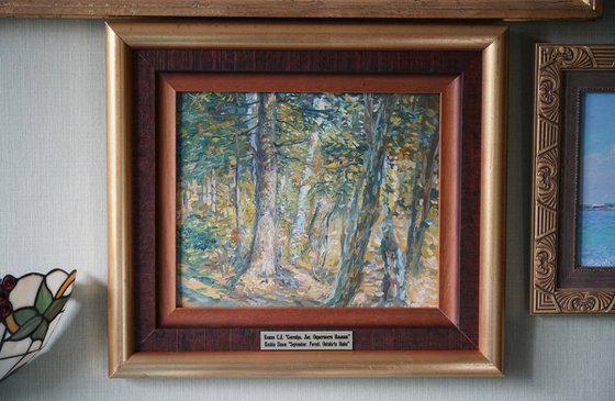 September. Forest. Surroundings of Ilyinki
