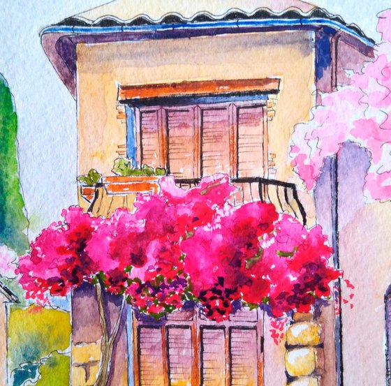 Bougainvillea and lavender