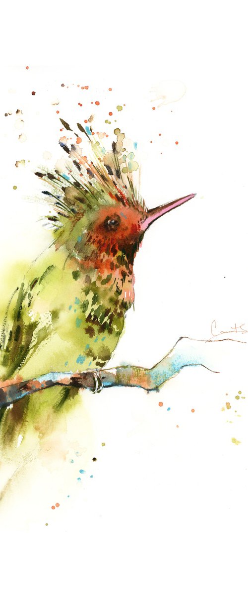 Hummingbird by Sophie Rodionov