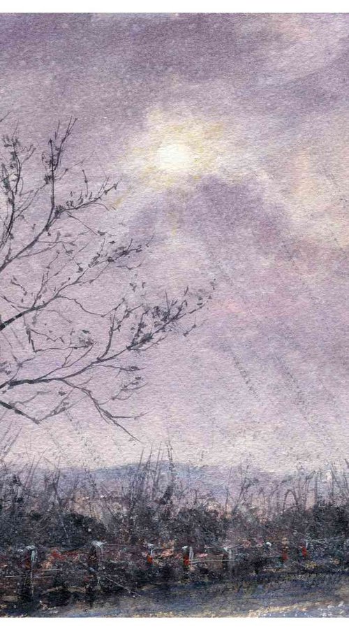 LONE TREE - RAINSTORM by Neil Wrynne