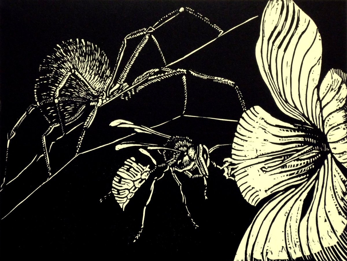 Animal Linocut By Rebecca Coleman, 15 X 14", Enemy No 2, Original Artwork