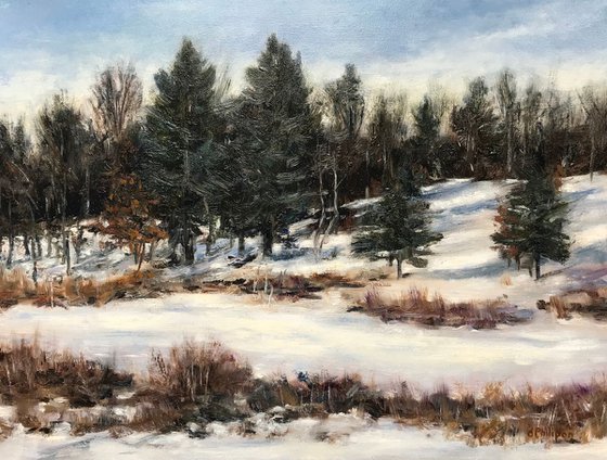 Winter in New Hampshire