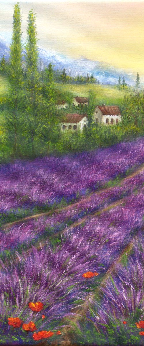 Lavender in Provence by Ludmilla Ukrow