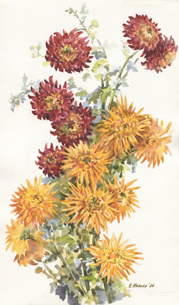 Palette of chrysanthemum by Olha Malko