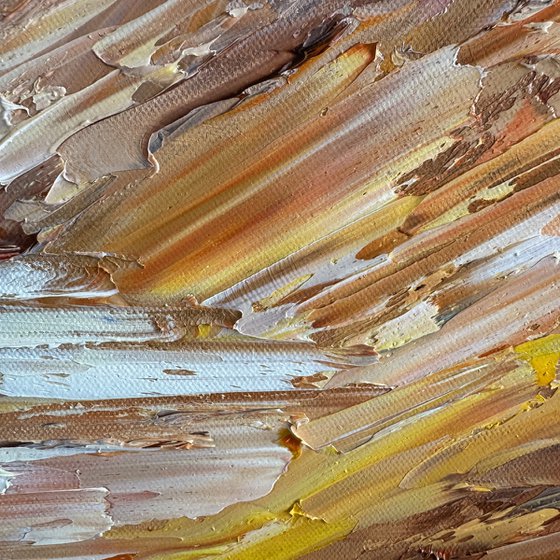 Rainbow beach No 20,