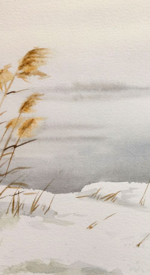 Dry Reed on the River Banks Sn by Olga Beliaeva Watercolour