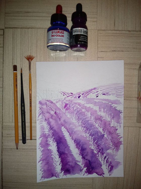 Lavender