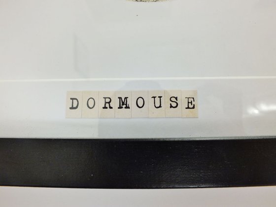 Dormouse
