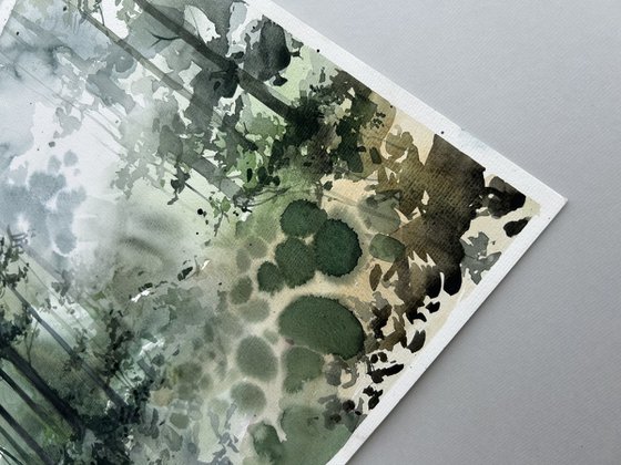 Forest landscape