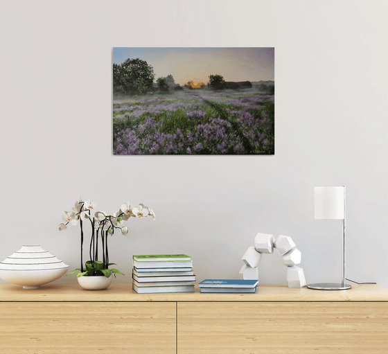 Purple Meadow at Sunrise