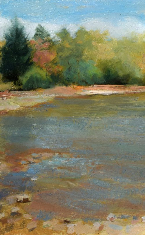 Shallow forest pond impressionism by Gav Banns