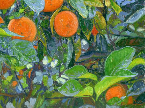 Oranges