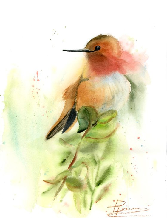 Hummingbird