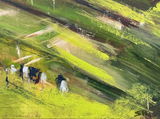 Spring Allotments, North End
