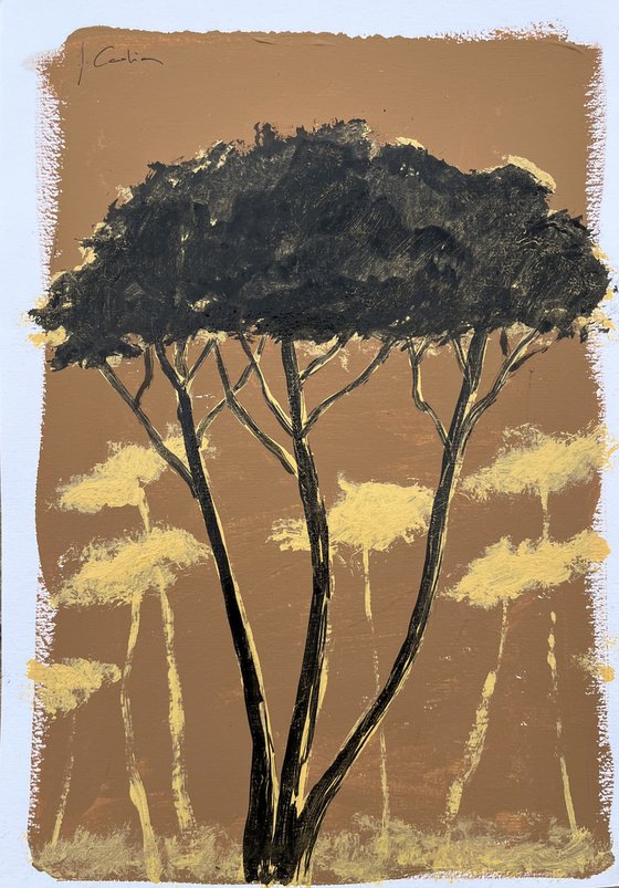 Pinetrees