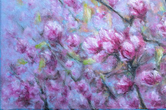 Spring's Whisper