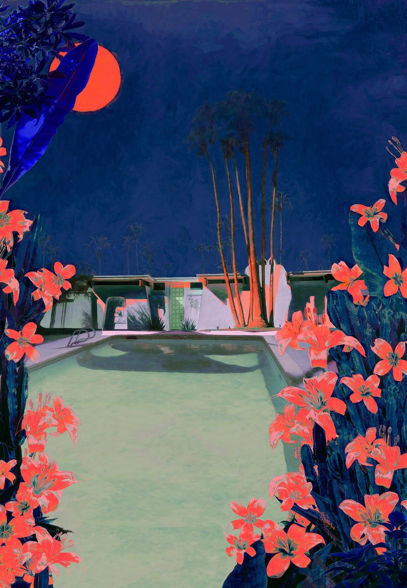 Impressionistic Landscape Photograph By Nadia Attura, 20 X 28", Cactus Moonrise, Original Artwork