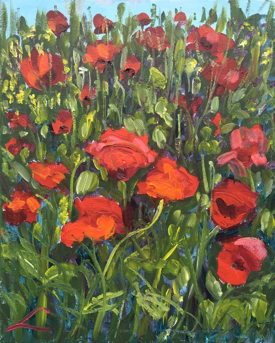 Impressionistic Botanical Oil Painting By Elena Sokolova, 9 X 12, Poppies 2024, Original Artwork