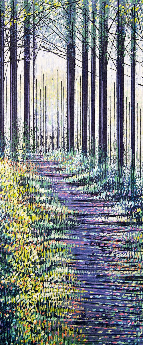 Late Autumn Forest Path by Marc Todd