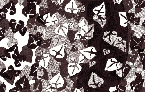 IVY PATTERN Ink Drawing by Nives Palmić