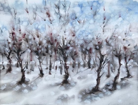 White garden. One of a kind, original painting, handmad work, gift, watercolour art.