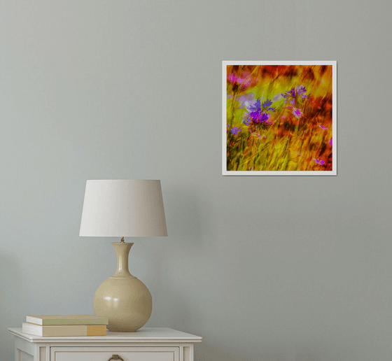 Summer Meadows #9. Limited Edition 1/25 12x12 inch Abstract Photographic Print.